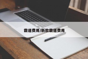 霸道费用/新款霸道费用