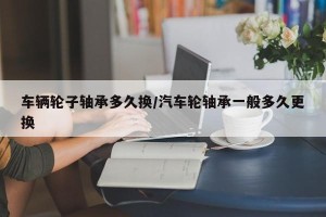 车辆轮子轴承多久换/汽车轮轴承一般多久更换