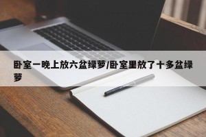 卧室一晚上放六盆绿萝/卧室里放了十多盆绿萝