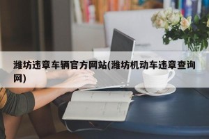潍坊违章车辆官方网站(潍坊机动车违章查询网)