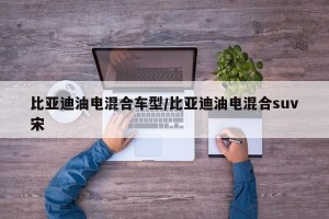 比亚迪油电混合车型/比亚迪油电混合suv宋