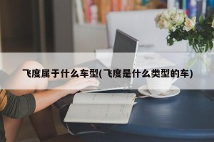 飞度属于什么车型(飞度是什么类型的车)