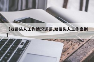 【双带头人工作情况调研,双带头人工作案例】