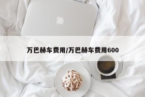 万巴赫车费用/万巴赫车费用600