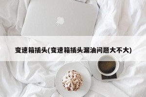 变速箱插头(变速箱插头漏油问题大不大)