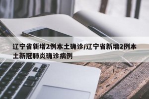 辽宁省新增2例本土确诊/辽宁省新增2例本土新冠肺炎确诊病例