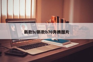 新款b/新款b70奔腾图片