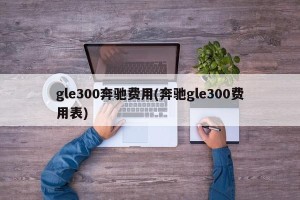 gle300奔驰费用(奔驰gle300费用表)