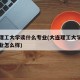 大连理工大学读什么专业(大连理工大学有什么专业怎么样)