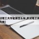 【武汉理工大学能源怎么样,武汉理工大学能源动力类】