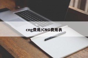 cng费用/CNG费用表