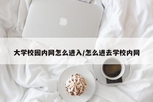 大学校园内网怎么进入/怎么进去学校内网