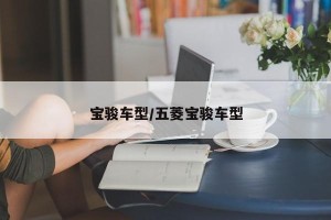 宝骏车型/五菱宝骏车型