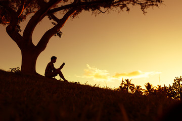 映山红在我国的分布是什么？