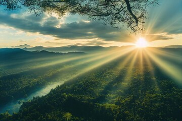 映山红在我国的分布是什么？